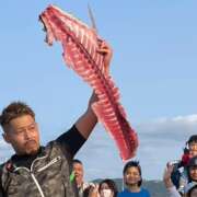 魚しき8周年祭 開催御礼